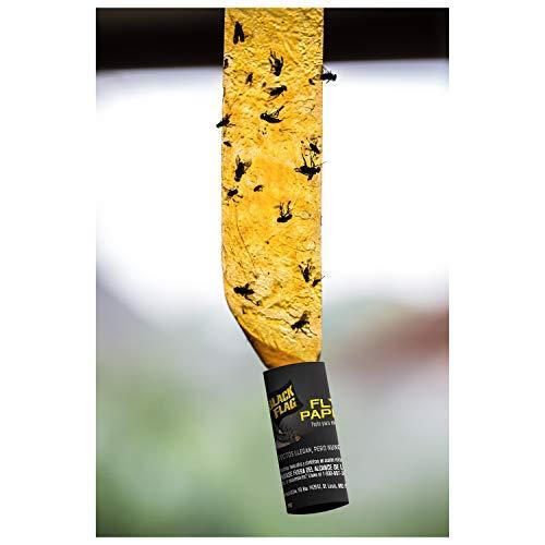Black Flag HG-11016 Fly Paper, 4-Count