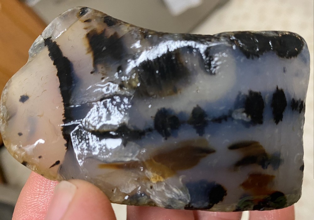 Montana Moss Agate Super High Grade