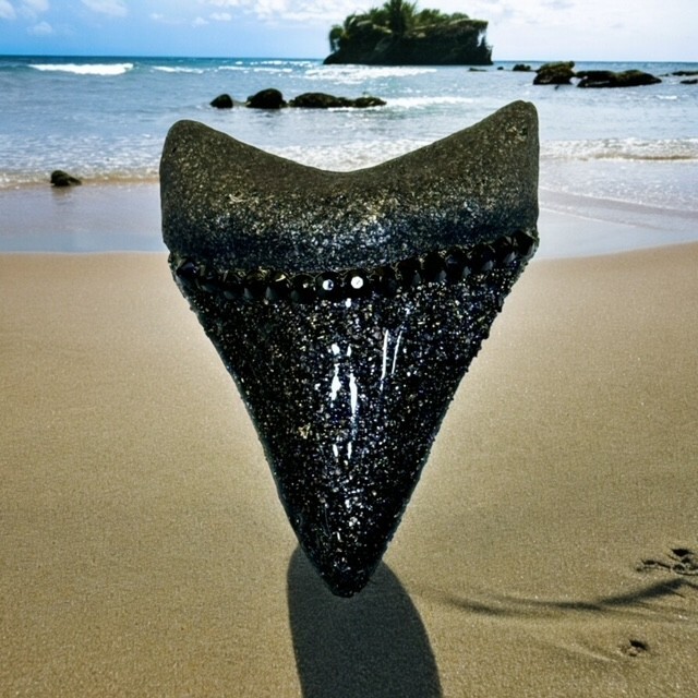 3" Authentic Shark Tooth Silicone Mold For Resin