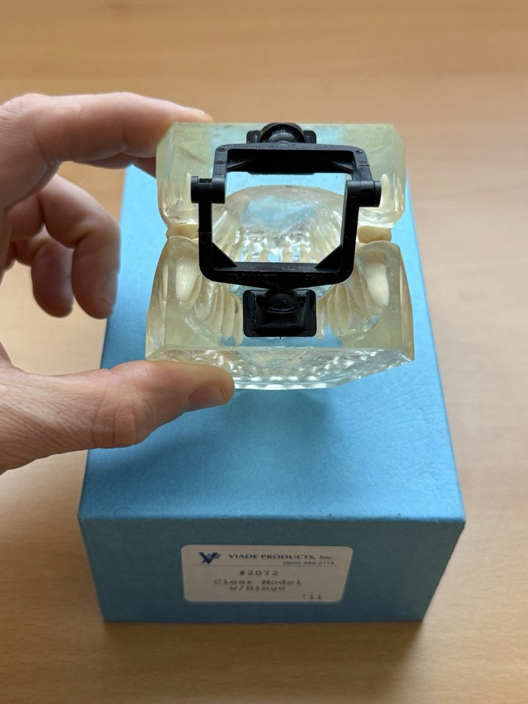 Viade Clear Teeth with Hinge Model - #2072