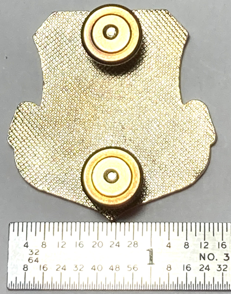 USAF Space Command Screw Back Insignia/ Pin