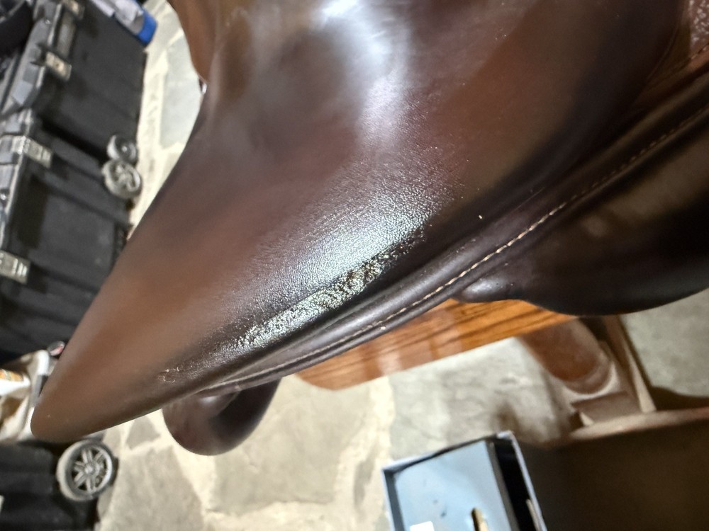 Meyer Saddle - 2022 17" Grain Leather