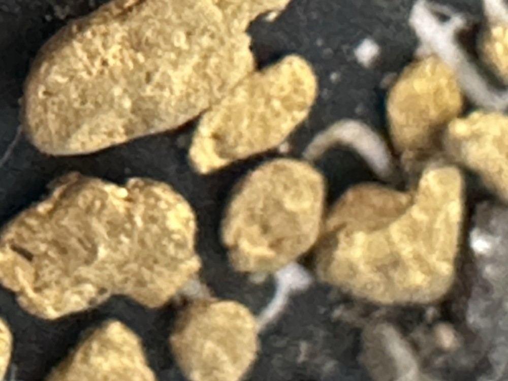 paydirt gold