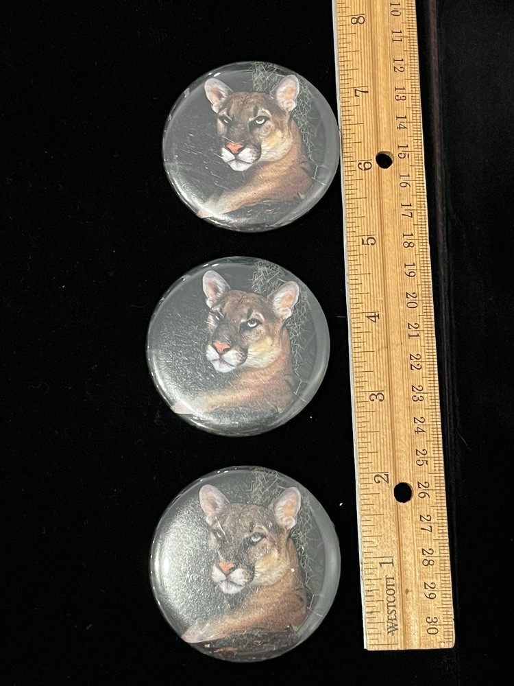 Vintage Florida Panther Button Pin