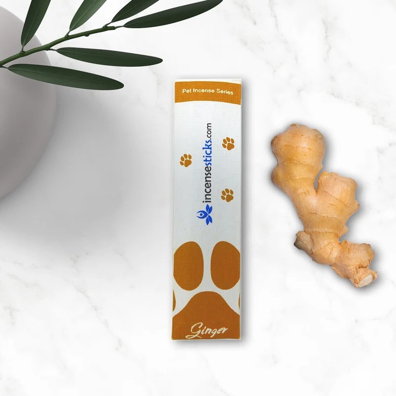 Pet Ginger Incense Sticks Pack: 1 Pack