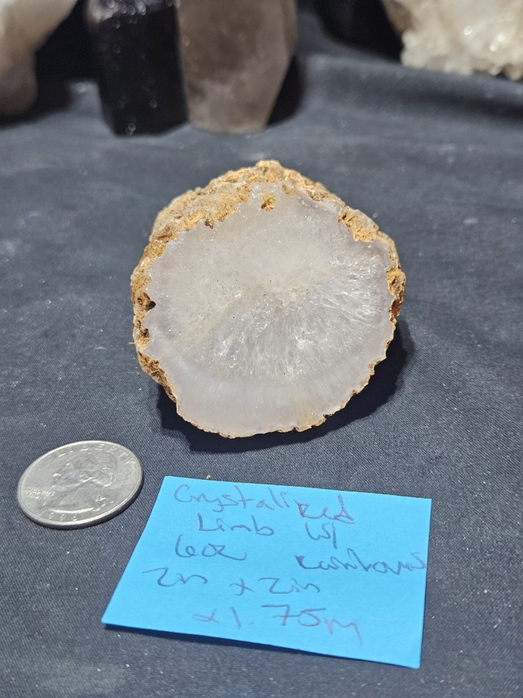 Limb Cast Crystalized w/ Multiple Rainbows (6oz)