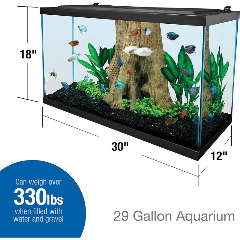 Rectangular Glass Aquarium Tank Freshwater Fish Easy Customization Accessories