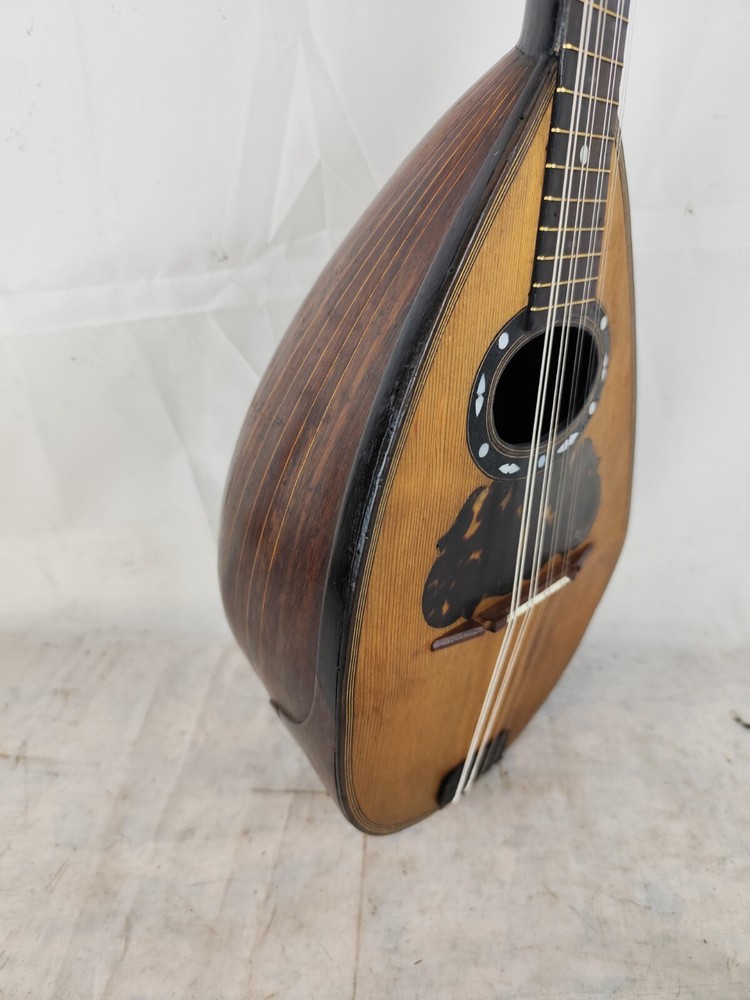 Mandolin 4/4 Carlo Loveri e Son 1901 Naples 曼陀林 만돌린マンドリン