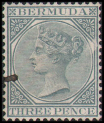 Bermuda #23 Used