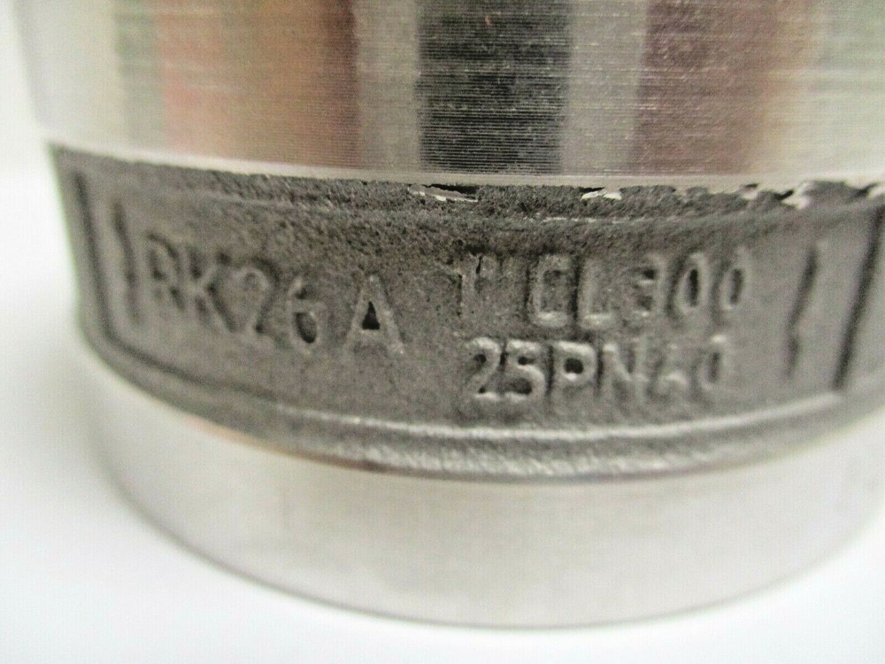 FLOWSERVE, GESTRA, PN10-40, CL 150, 1" CHECK VALVE