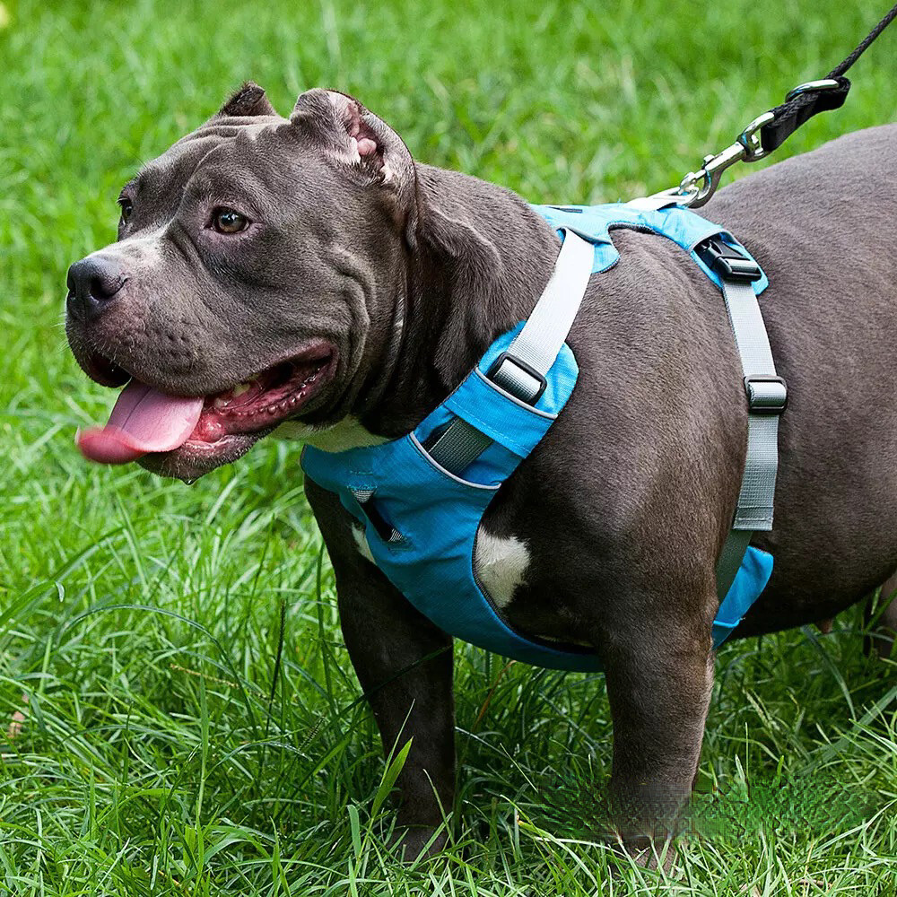 Dog Harness Nylon Reflective Adjustable Small Medium Large X-Large