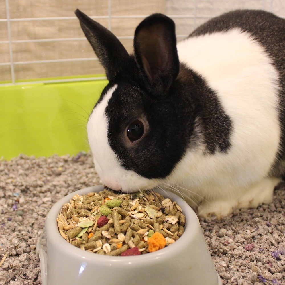 MENU Rabbit Food 5 lb.