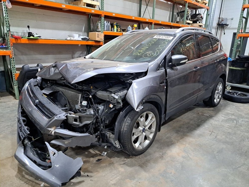 2014 Escape Jack Sku#4378757