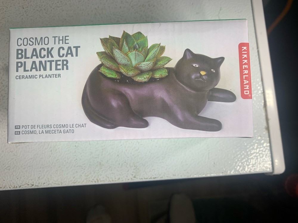 Cosmo The Black Cat Planter Flower Pot Planter 🪴🐈‍⬛