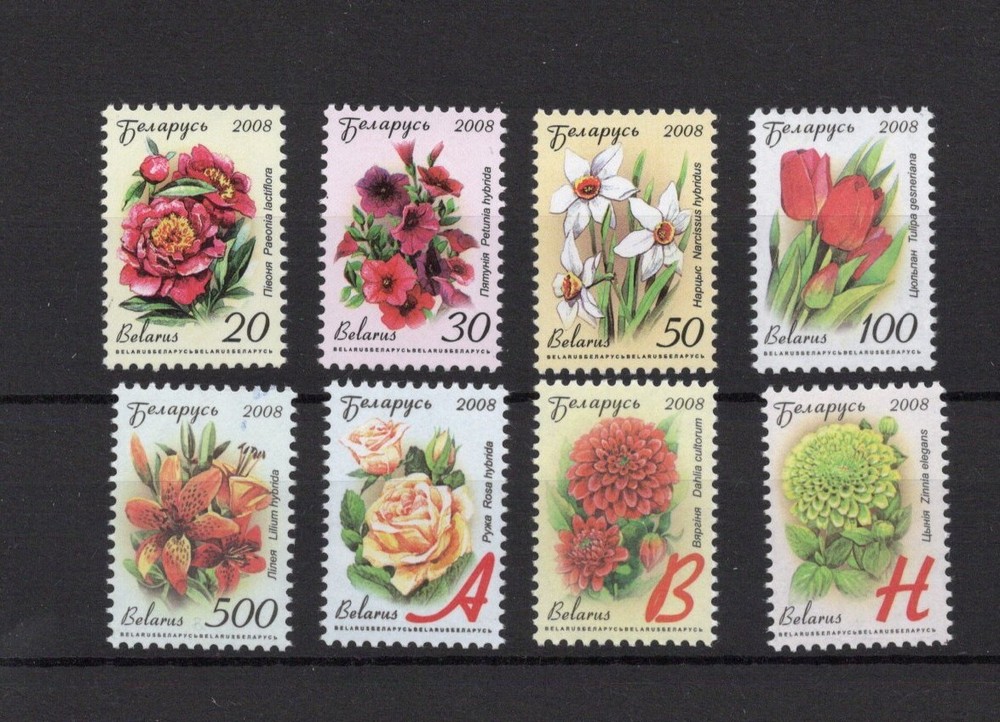 Belarus 2008 minisheet  11th standard issue MNH Flowers Flora