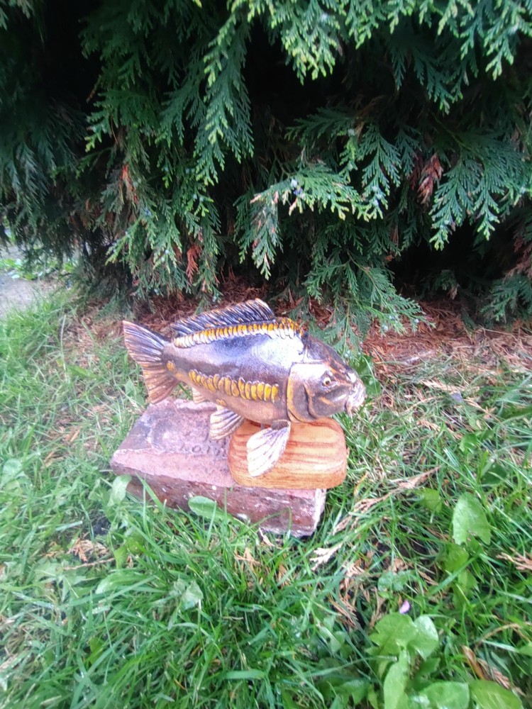 Carp Fishing, linear Carp Display, statue