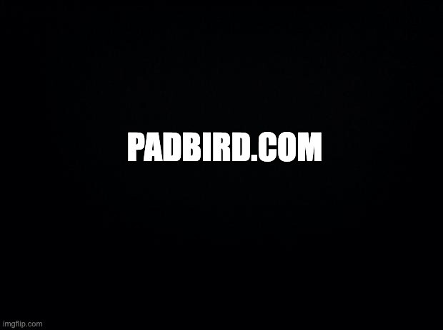 PadBird.com