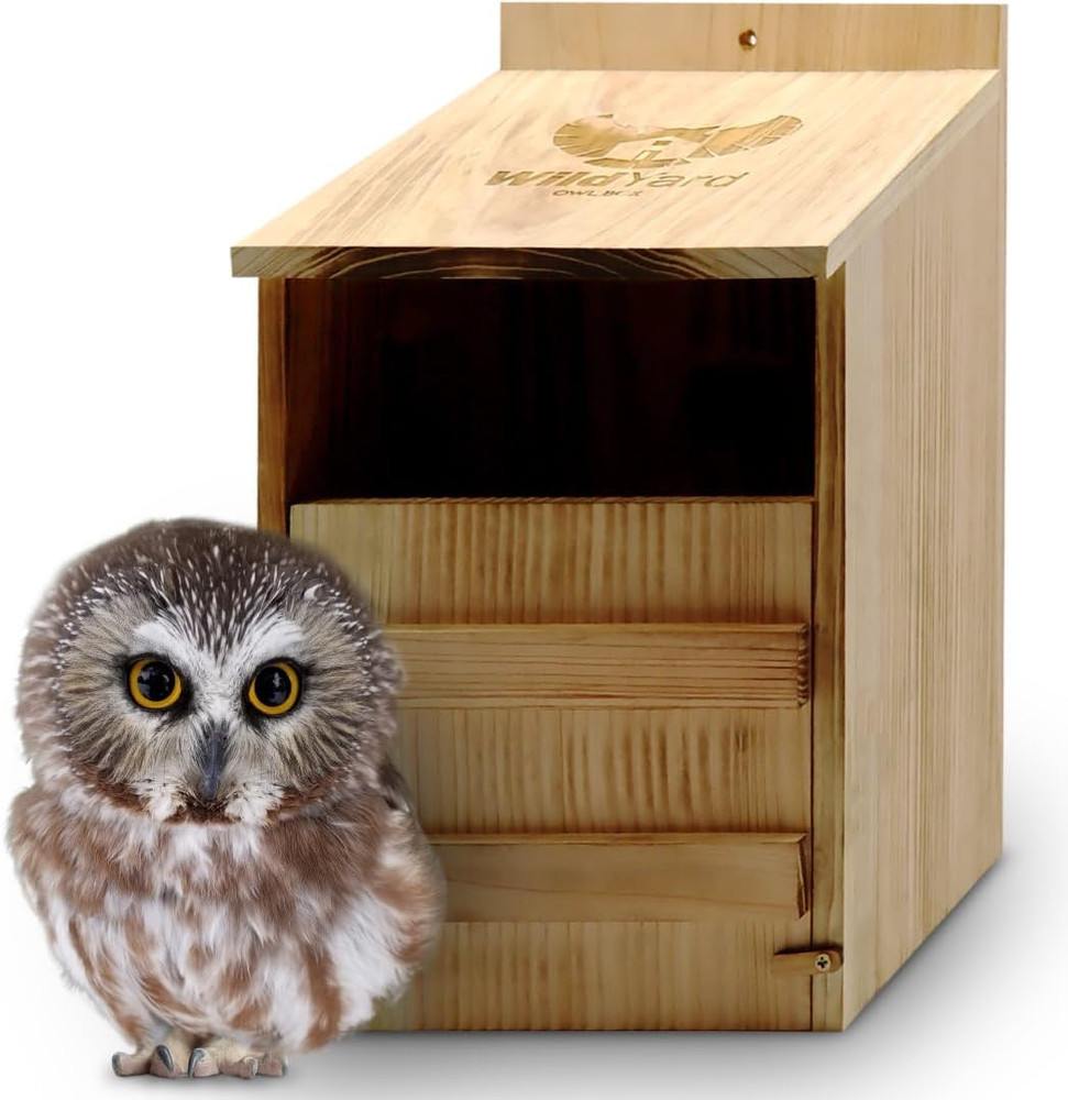 Cedar Barn Owl Nesting Box - Cedar Wood, Traditional - Preassembled & Easy-Hang
