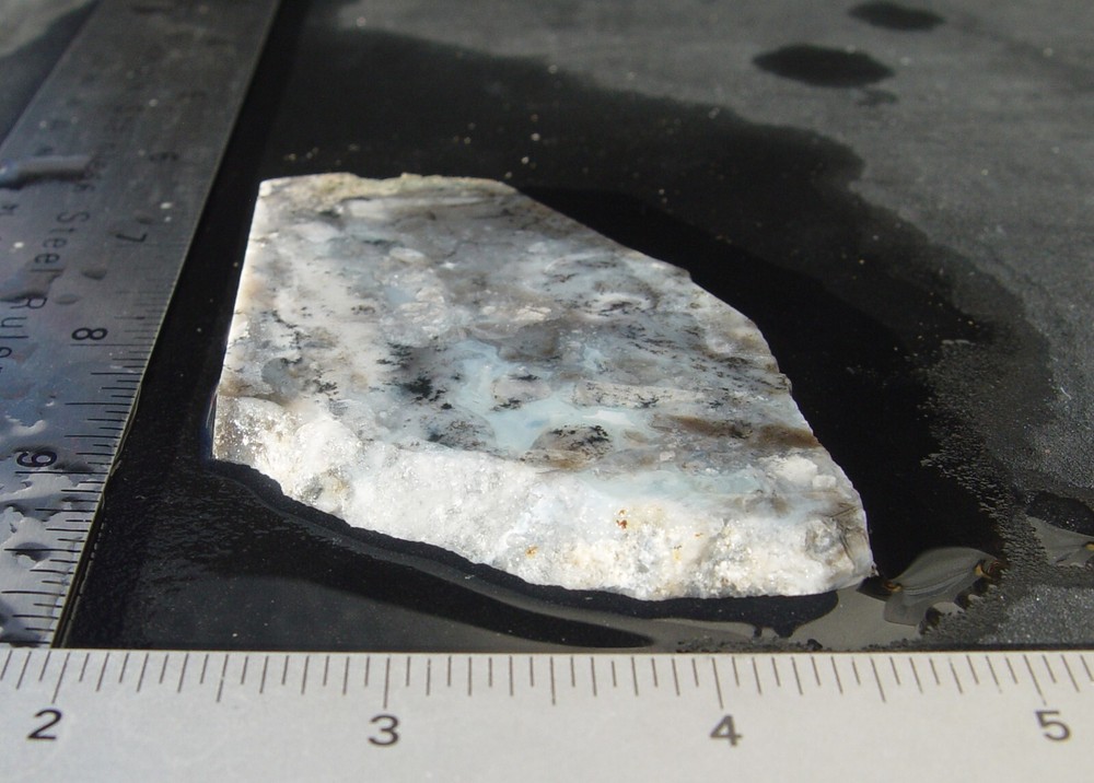Dendritic Agate Lapidary Slab T1127