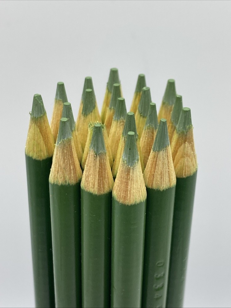 (20) Crayola Colored Pencils  (asparagus) BULK