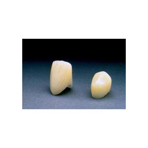 3M ESPE P15 Polycarbonate 15 Upper Left Central Crown Forms 5/Bx