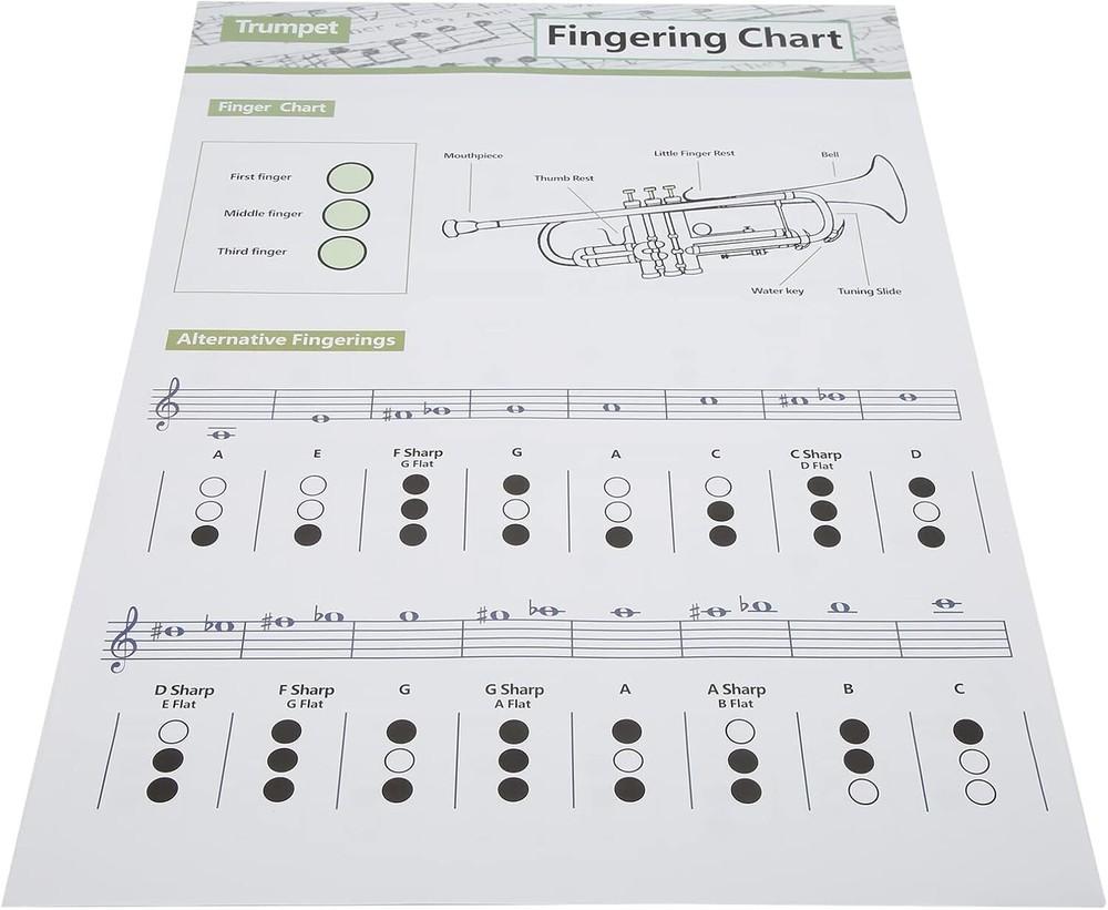 Trumpet Chord Chart Chords Reference Poster (Large Size)