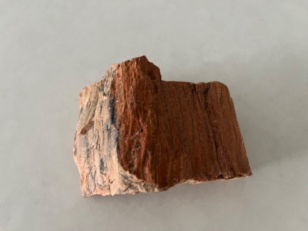 petrified wood\ small piece