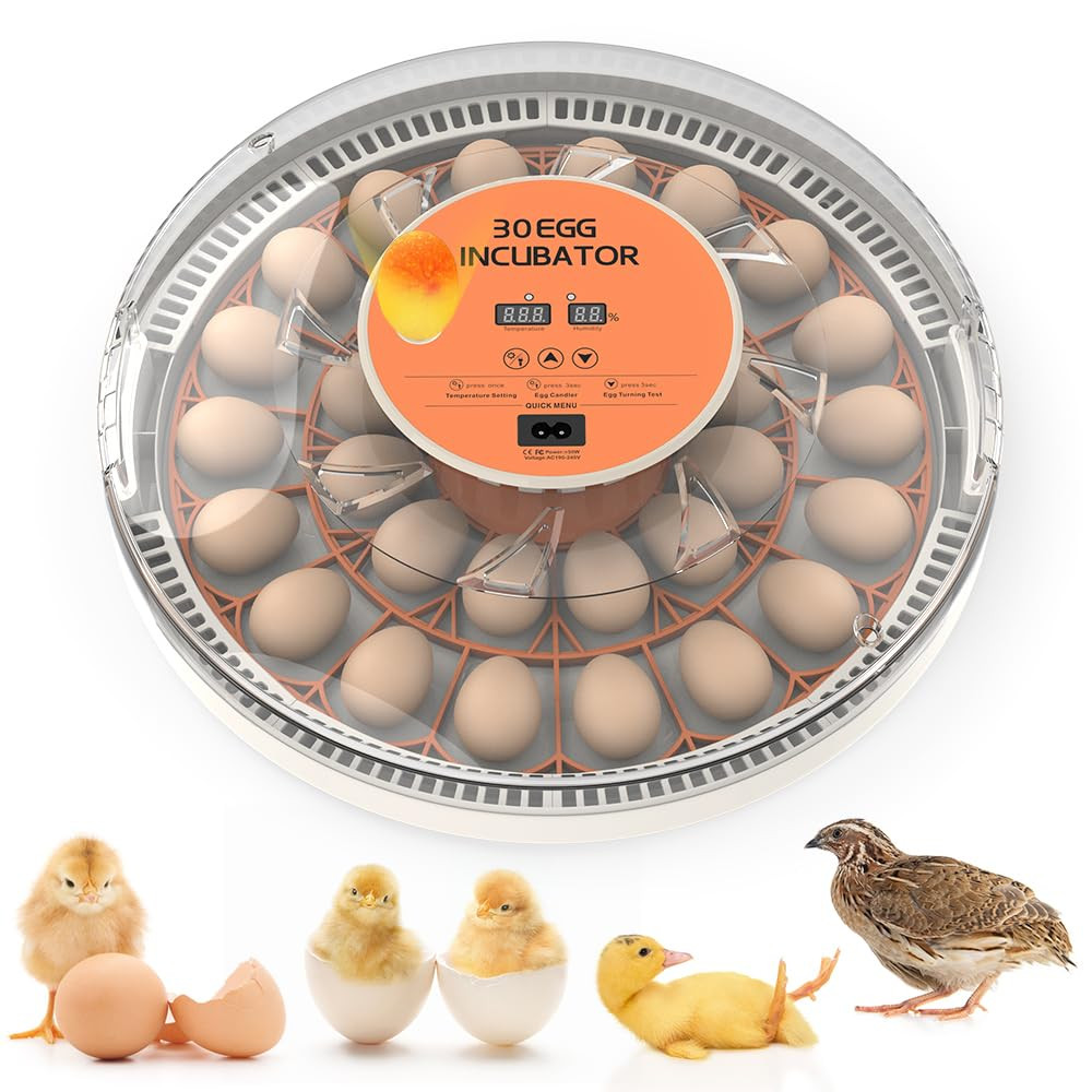 Incubators for Hatching Eggs，30 Egg Incubator,Egg Incubator with Automatic Egg T