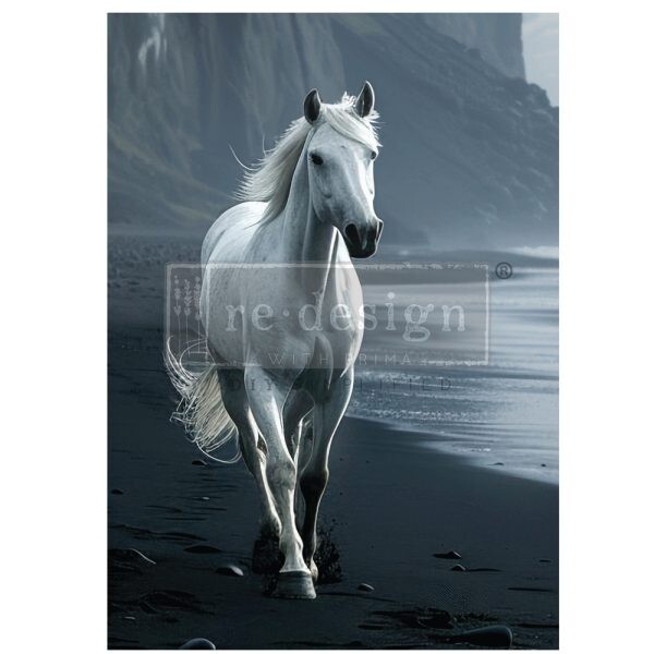 PRIMA TRANSFER SEASHORE SPRINTER 672614