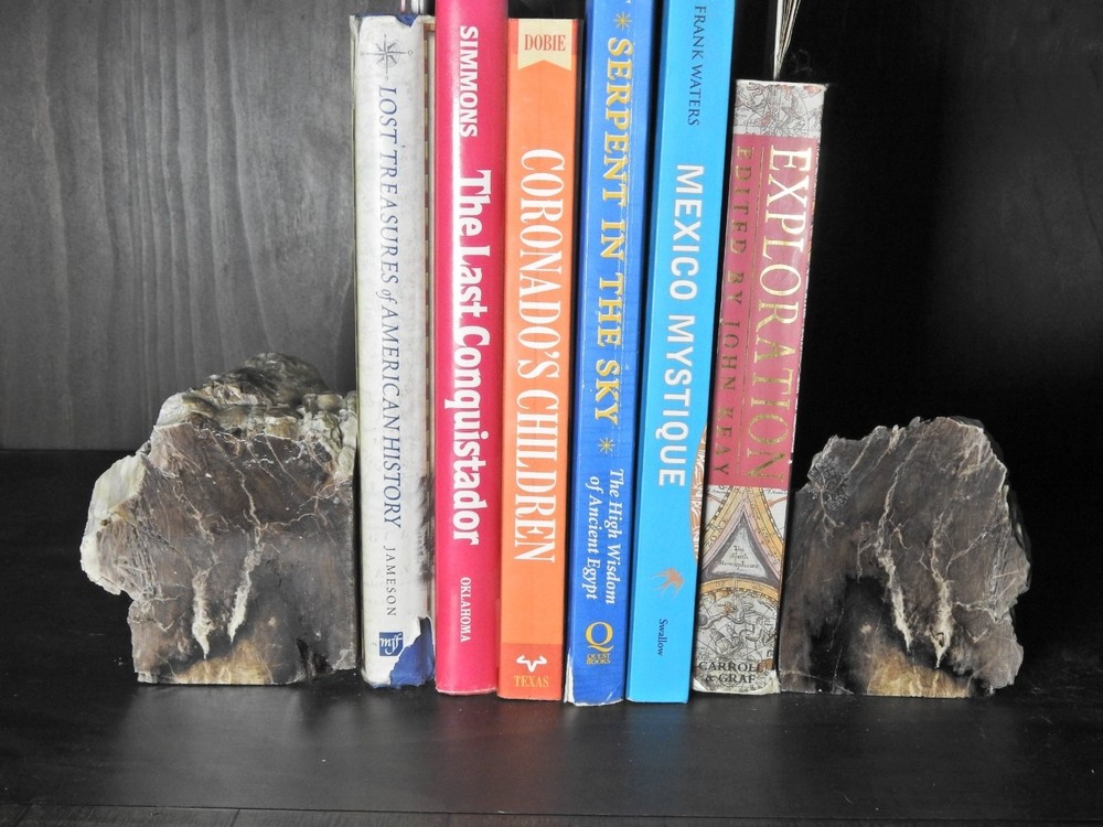 Book Ends Petrified Wood