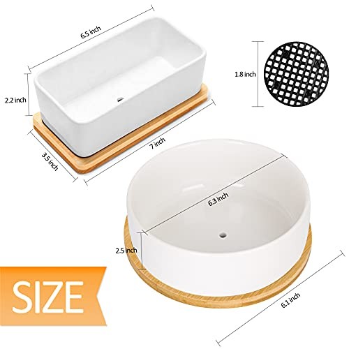 White Ceramic Succulent Plant Pots, 1 Rectangular Flower Pot Rectangular+round
