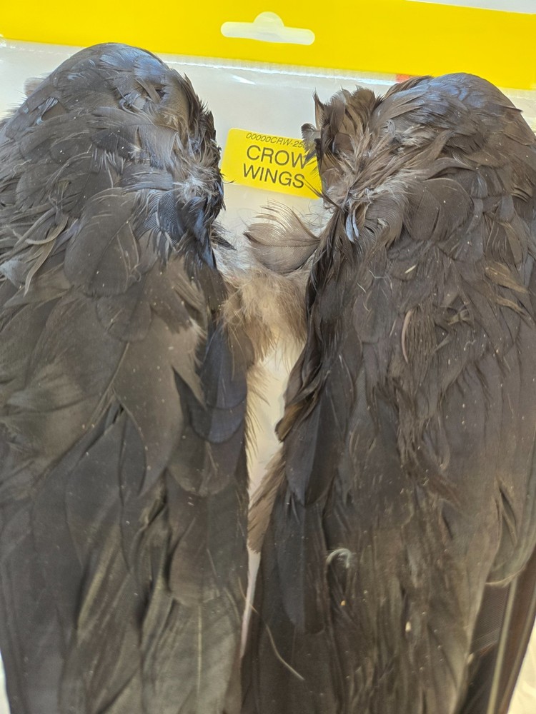 Veniard Crow Wings natural