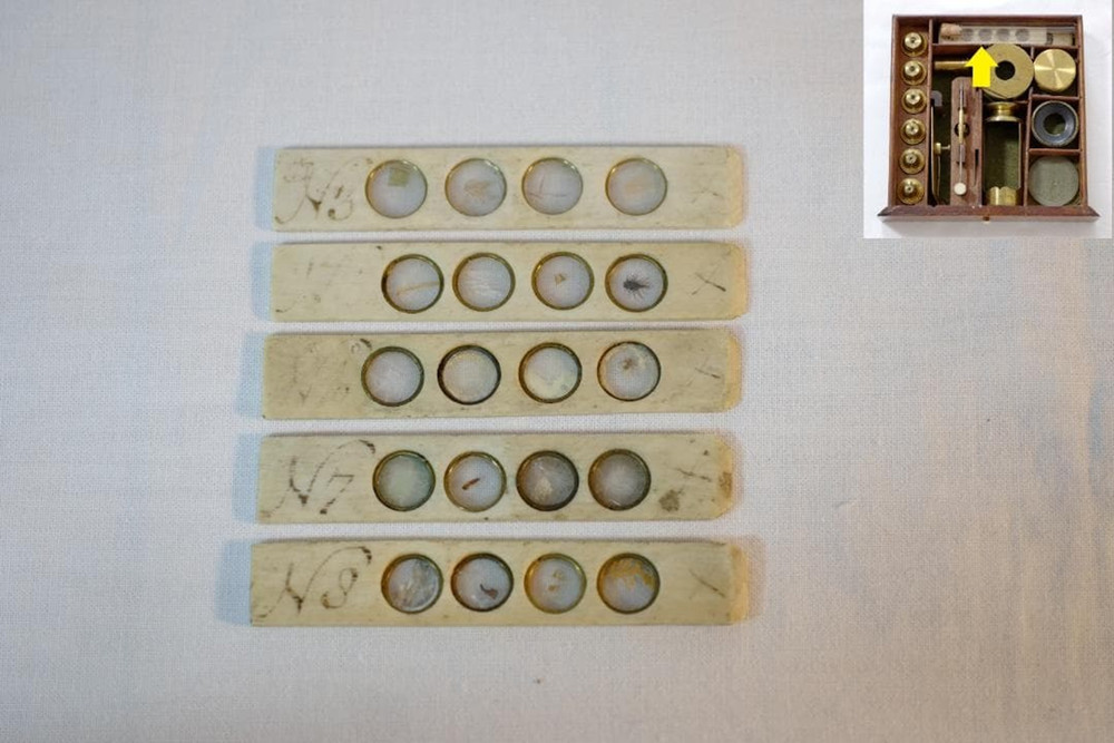 Antique Microscope No.32 John Richardson Cuff-Type Microscope c.1804–1809