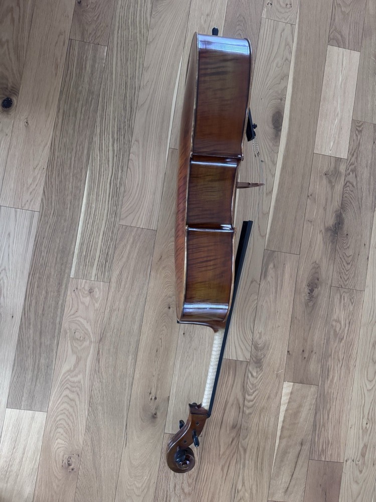 4/4 Full Size Cello, Soft Case, Bow, And New Strings