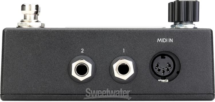 Walrus Audio Canvas MIDI Clock Pedal