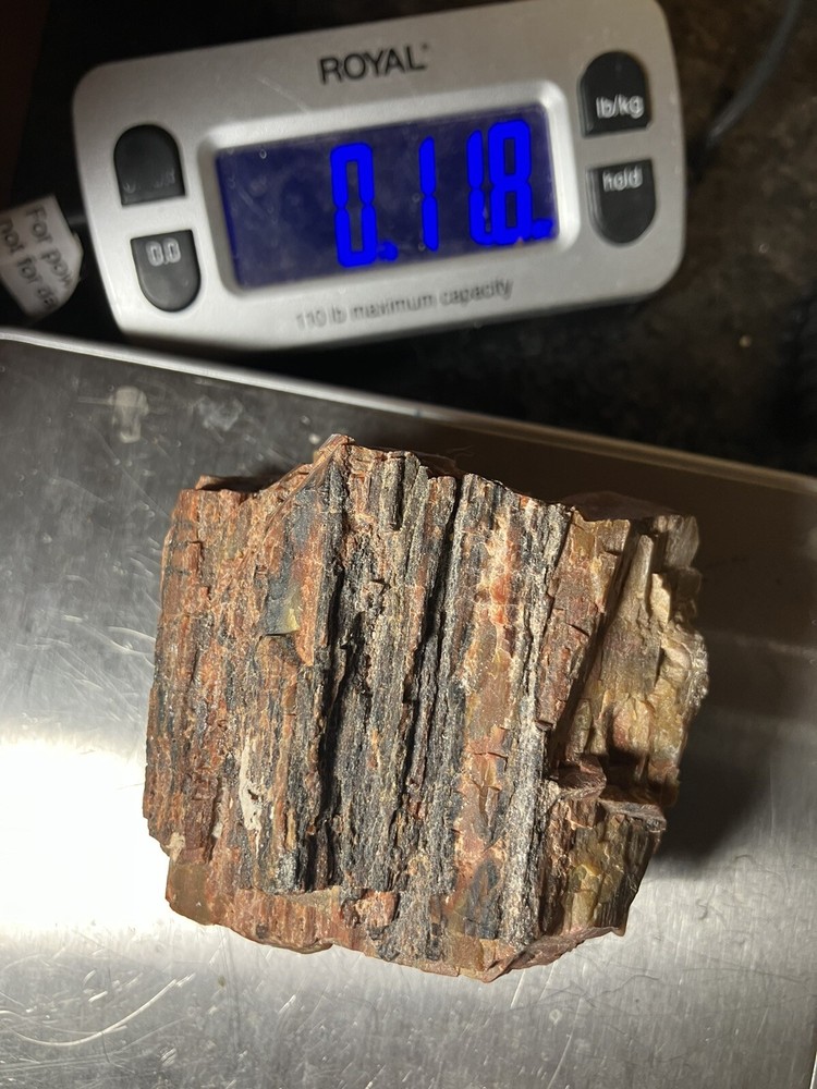 Arizona Petrified Wood