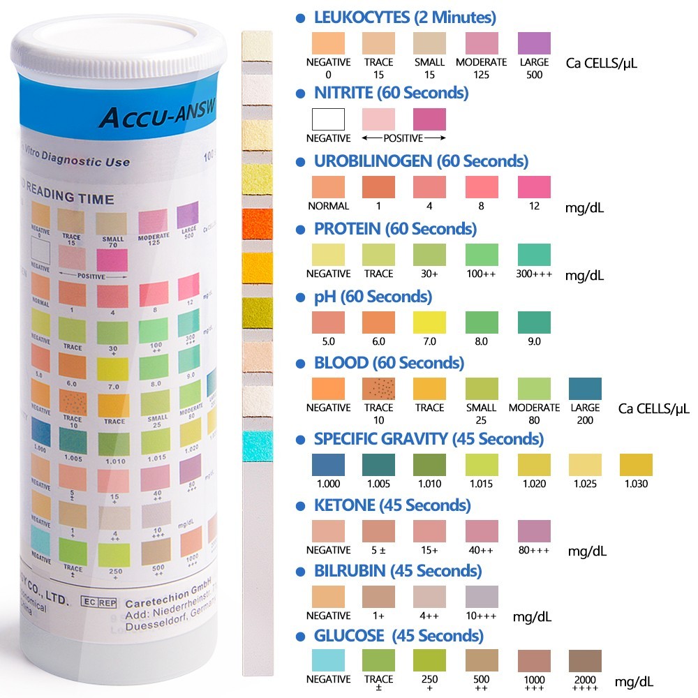 Professional Urinary Test Strips 10 Parameters - 100 Pieces CE Urine Test