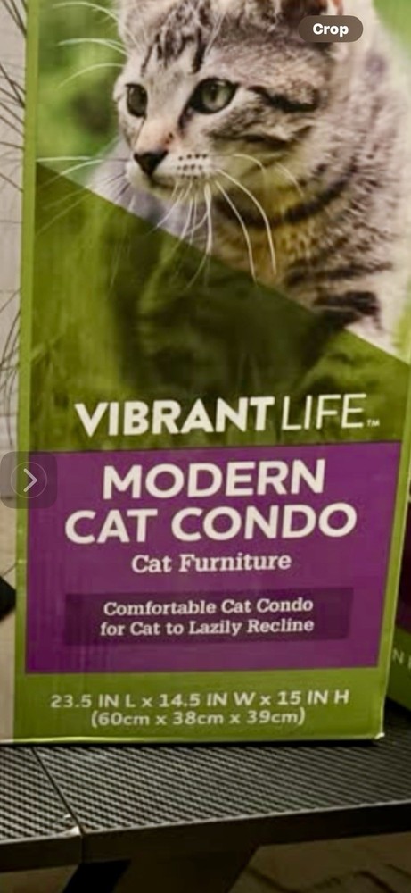 Vibrant Life