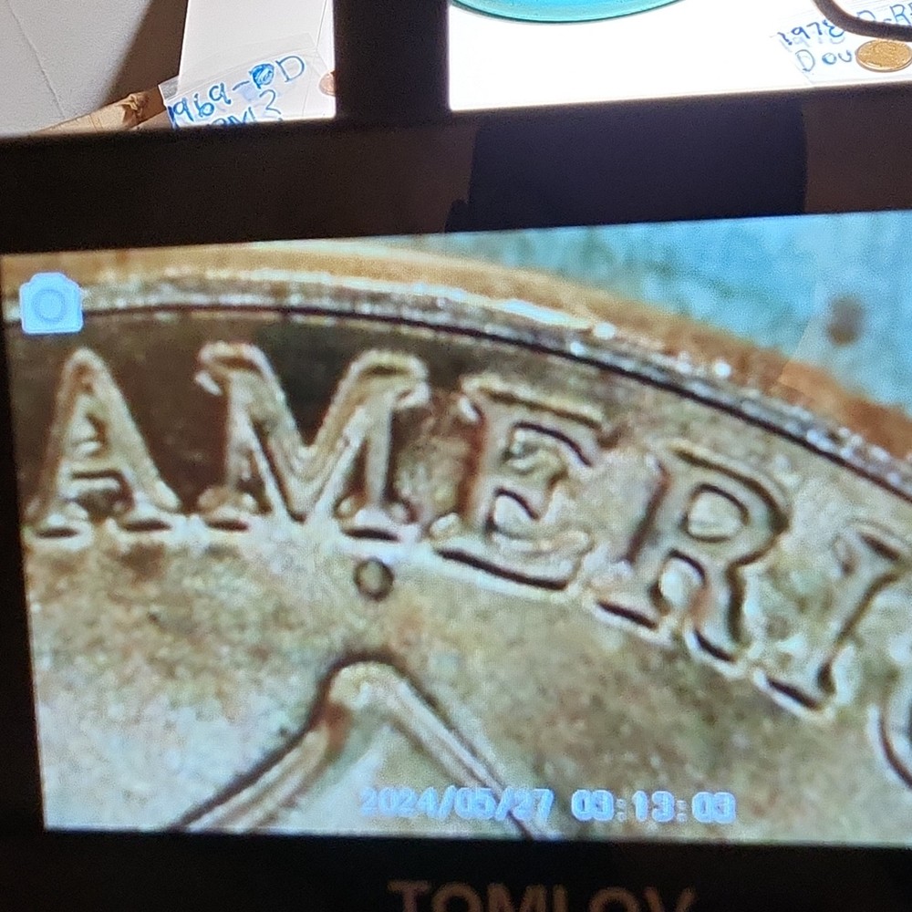 2024 Lincoln Shield Cent,RD, Mint State, Mint State, Doubled Die Reverse