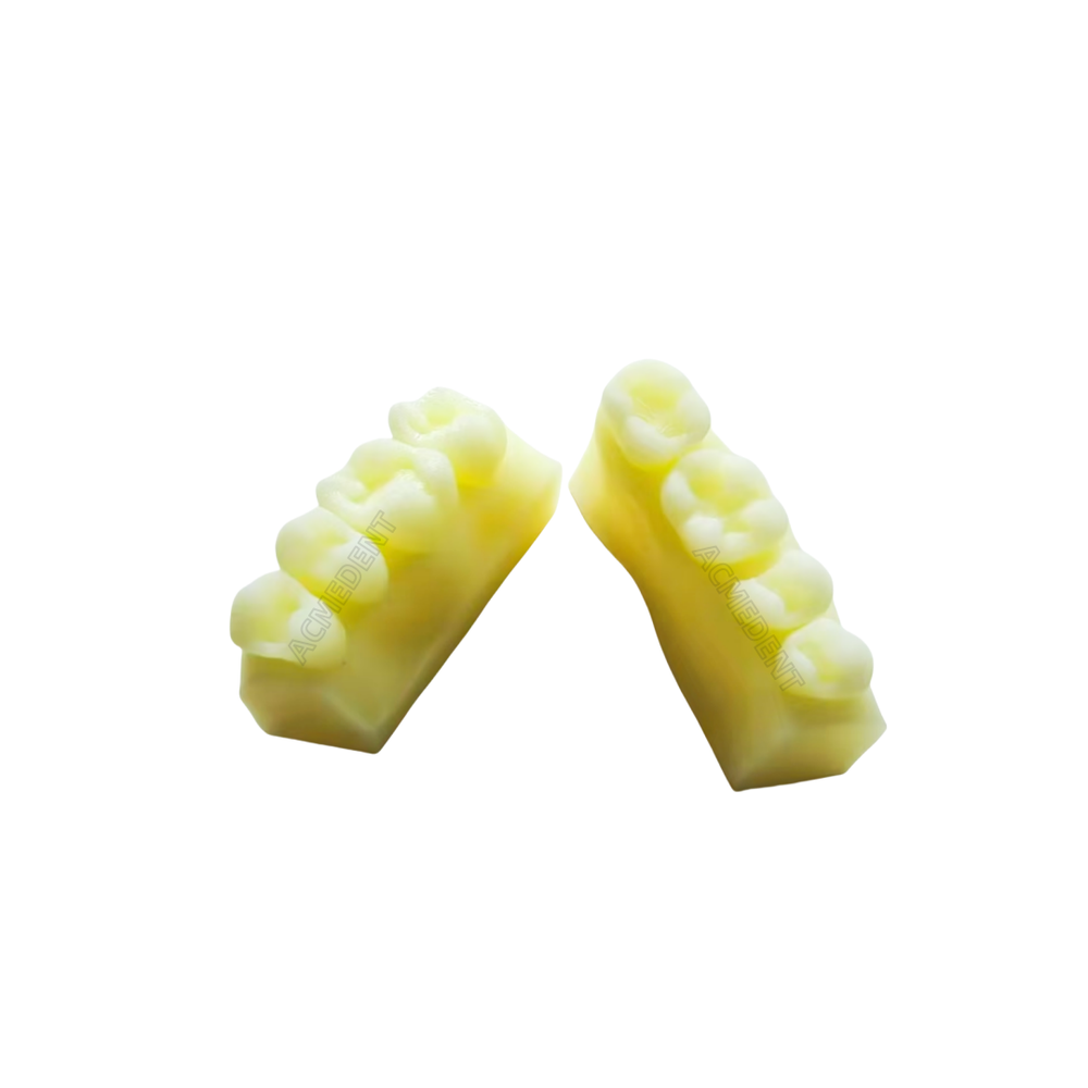 Dental Caries Decay Teeth Model Tooth Simulate Class Ⅱ Resin Restore Template
