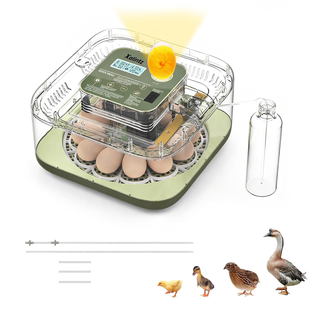 Automatic 12 Egg Incubator - Digital Temperature/Humidity Display, Hatch Day Cou