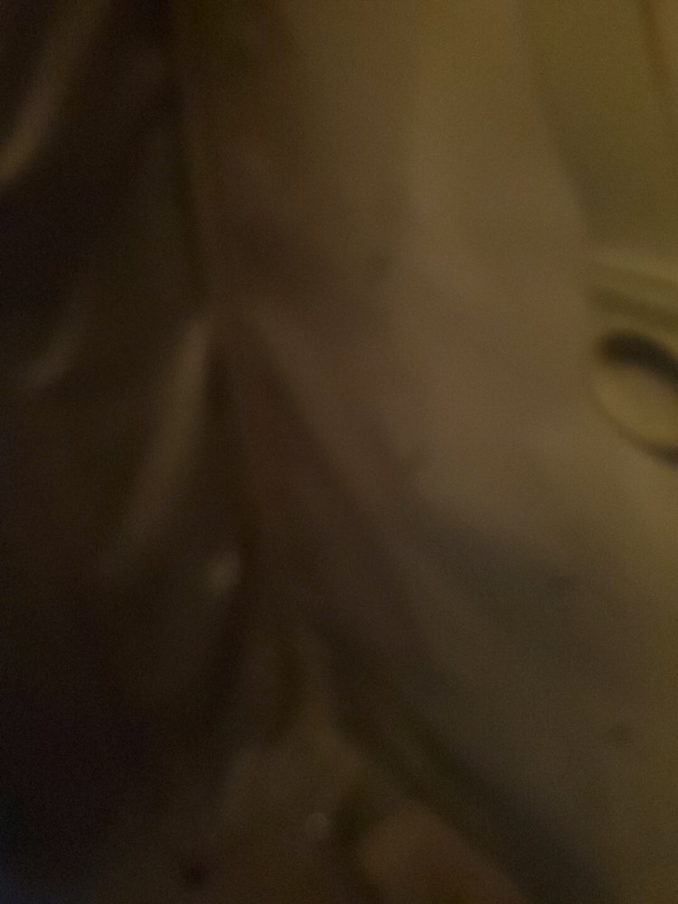 Valentino Coupeau Rolling Suitcase Blue