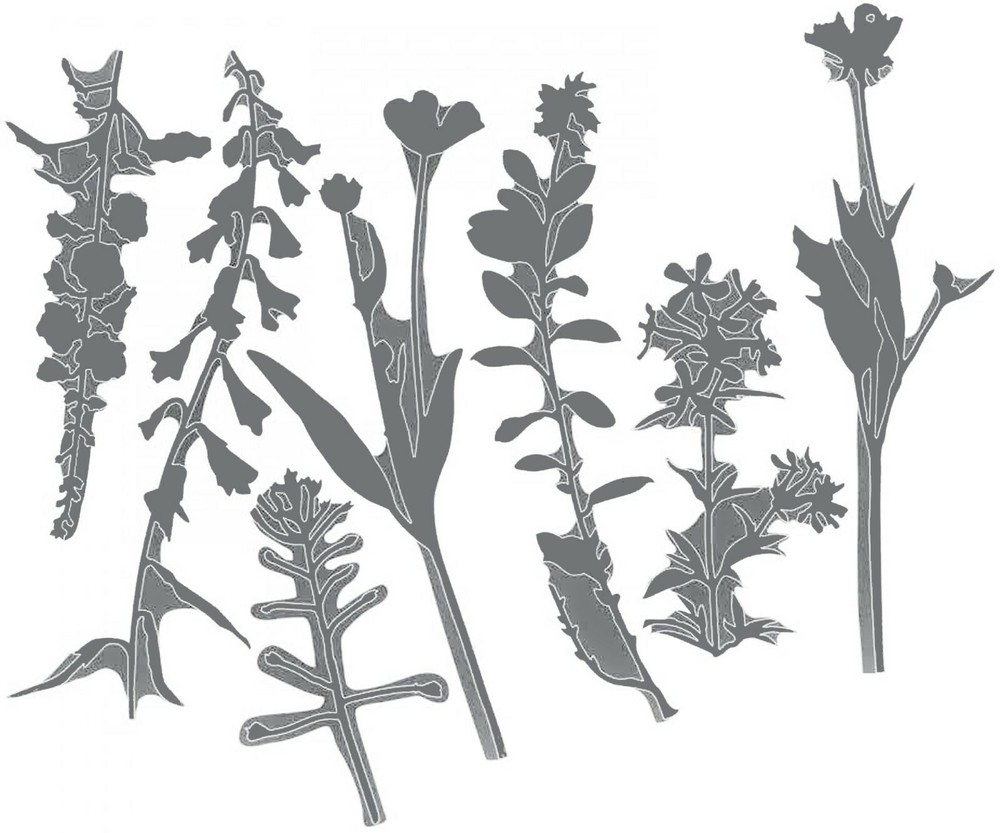 Sizzix Thinlits Wildflowers #2 #661808 7pk set Retail $22.99 designer Tim Holtz