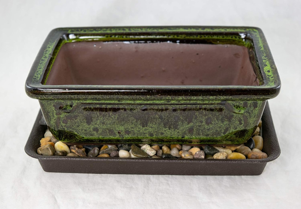 8" Rectangular Moss Green Glazed Bonsai Pot, Cactus & Succulent Planter + Tray +