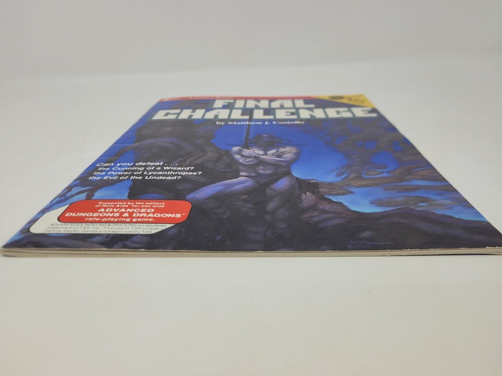 Final Challenge Adventure Module - Role Aids 722