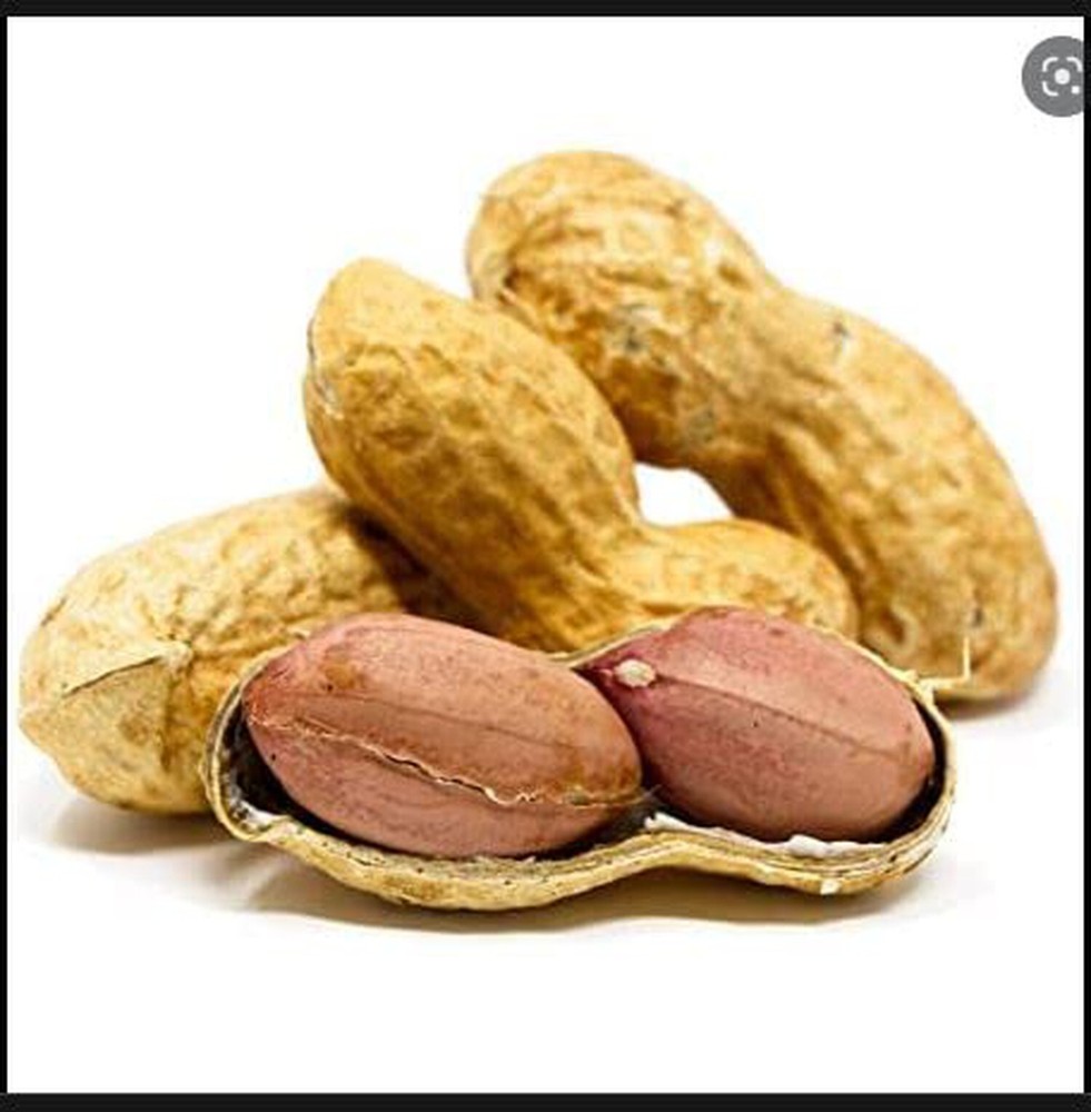 Alpine Ingredients Raw Peanut with Shell. 50lbs.