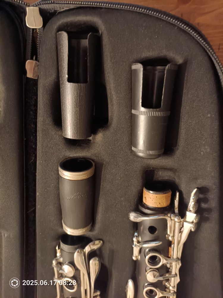 Borg Black Silver Standard Clarinet Set With Case (Untested)