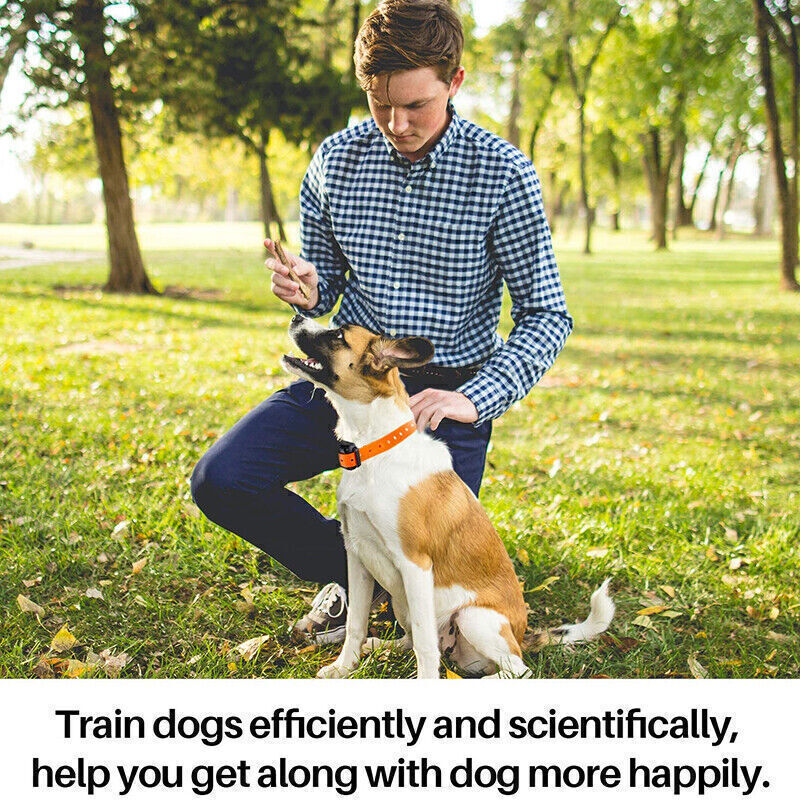 Universal Adjustable Dog Collar Strong Heavy Duty Hand Made For Training