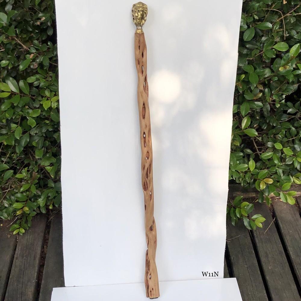 walking sticks
