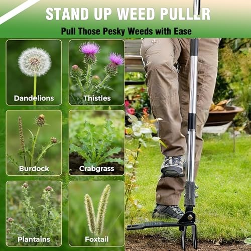 Weed Puller Tool, Stand Up Weed Puller with Stainless Steel 6 Claw Extra Large